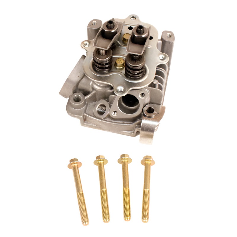 5. 555635 Briggs Animal, Briggs LO206 Cylinder Head Assembly