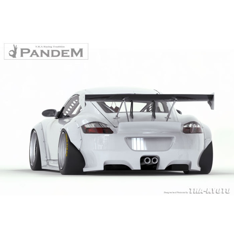 GReddy Pandem RB V2 Side Skirts | 2009-2012 Porsche Cayman (17090524)