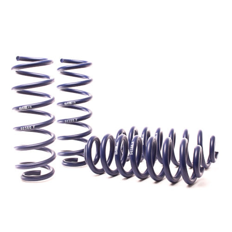 H&R Raising Spring Kit 2014-2019 Ford Escape 2WD, 4WD, 4cyl, V6 (V6)