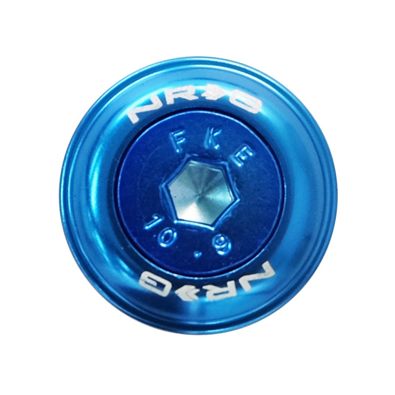 NRG Fender Washer Kit w/Color Matched M6 Bolt Rivets For Plastic (Blue) – Set of 10